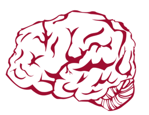 brain